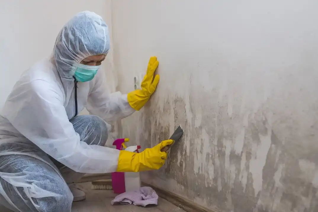 water damage restoration service Sabin